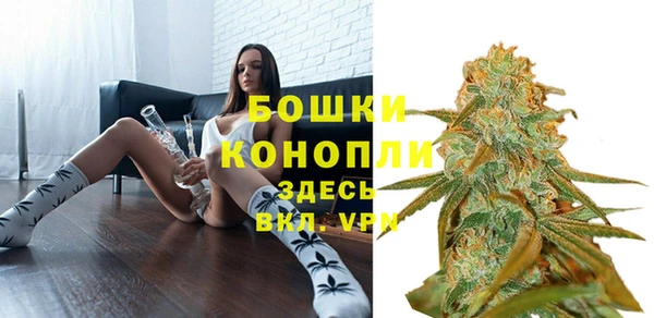 соль ск Белокуриха