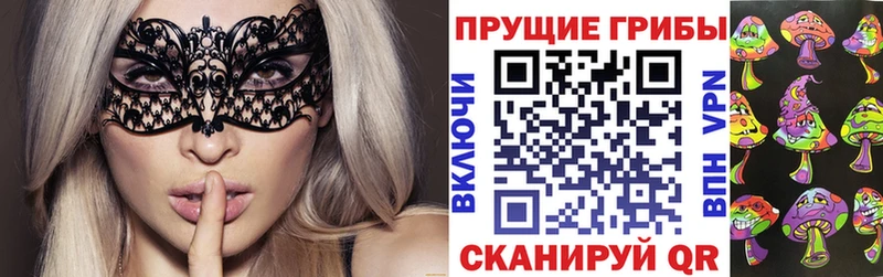 Псилоцибиновые грибы GOLDEN TEACHER  Купить закладки  Моршанск 